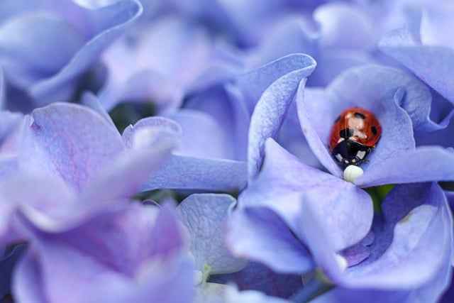 Kuchnie na wymiar z solidnych materiałów – rzeczywista trwałość bez iluzji