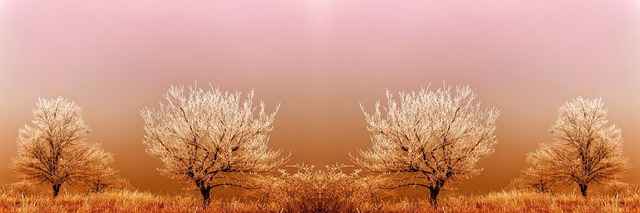 Kurs kierownika kolonii weekendowy – szybka ścieżka, więcej niż certyfikat