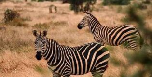 Czy apartament jest wygodny – co wpływa na komfort użytkowania