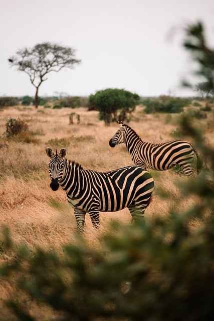 Czy apartament jest wygodny – co wpływa na komfort użytkowania